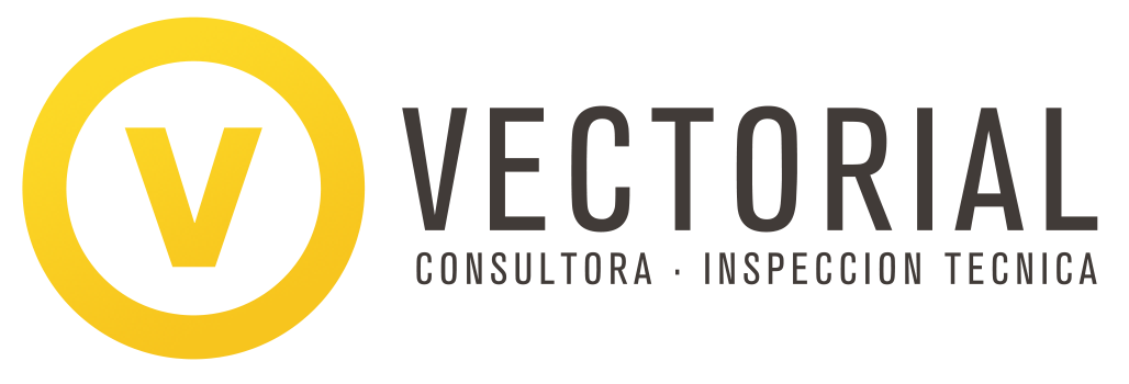 Vectorial Consultora